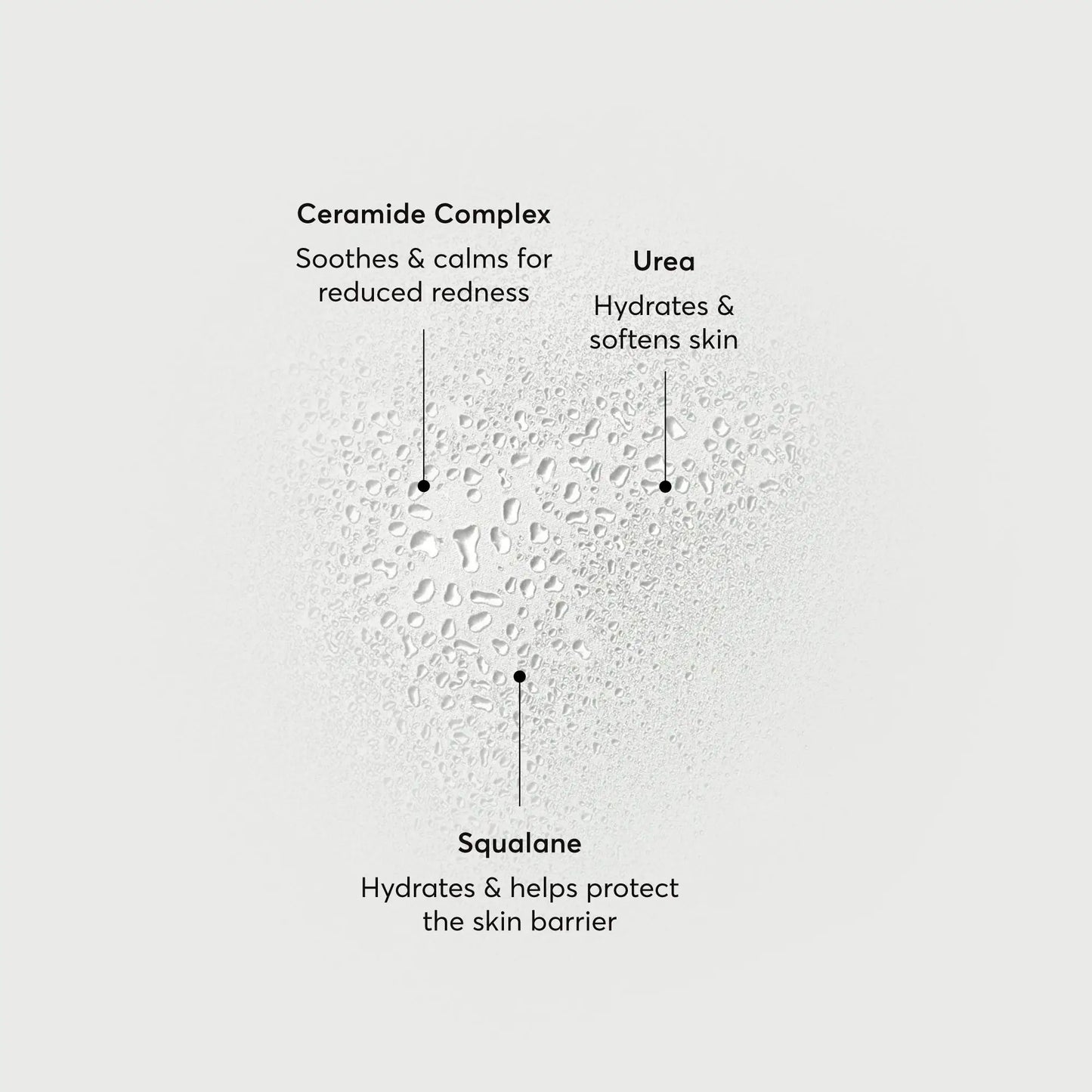 barrier-bounce-bi-phase-mist-a2 NATR-10167-Alt-Images-Barrier-Bounce-Bi-Phase-Toner-Mist_01.webp