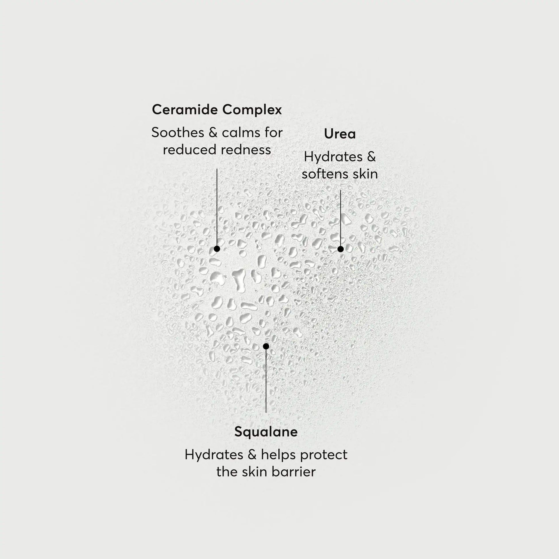 barrier-bounce-bi-phase-mist-a2 NATR-10167-Alt-Images-Barrier-Bounce-Bi-Phase-Toner-Mist_01.webp