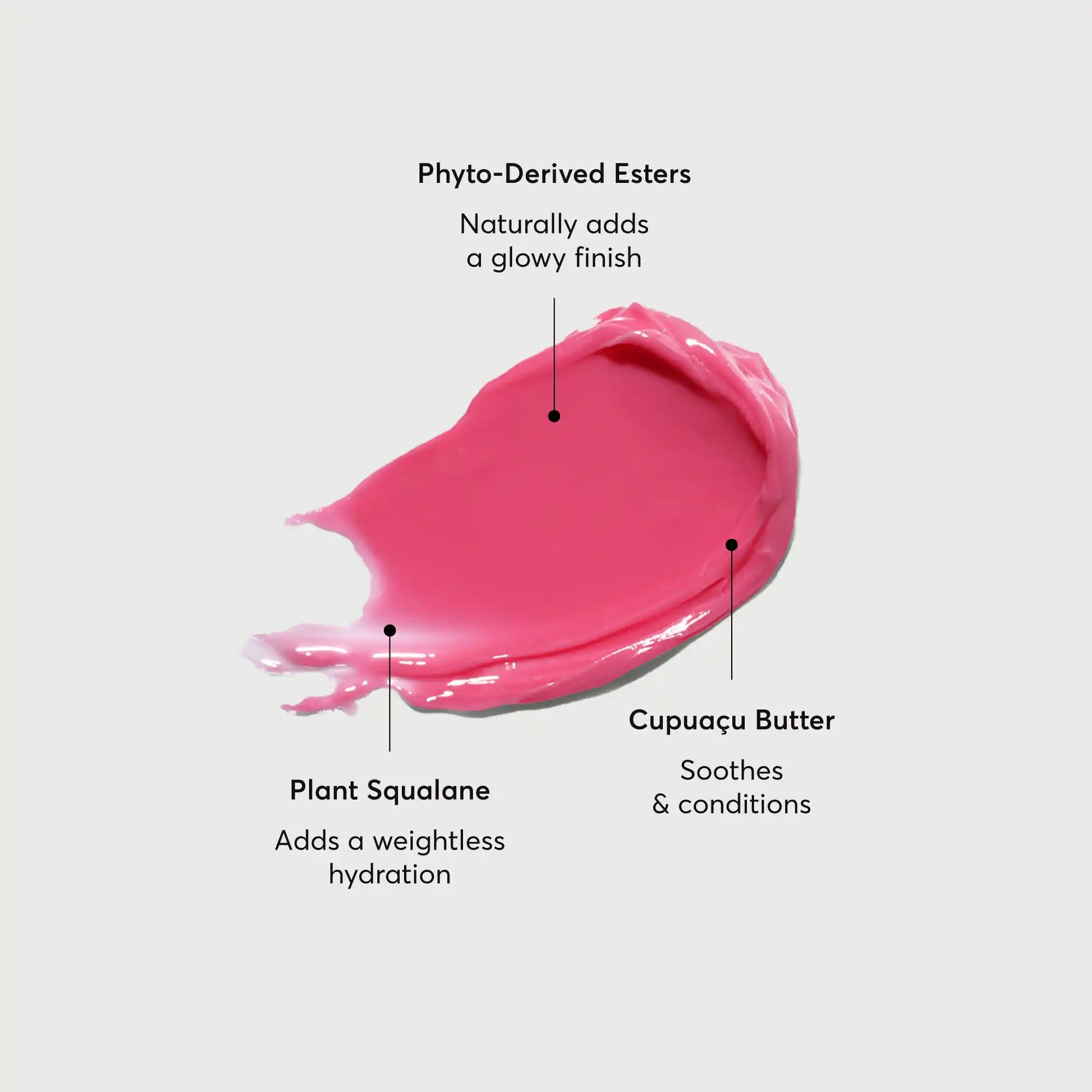 phyto-glow-lip-balm-camellia-k9 NATR-60075-Alt-Images-Phyto-Glow-Lip-Balm-Camellia-01.webp